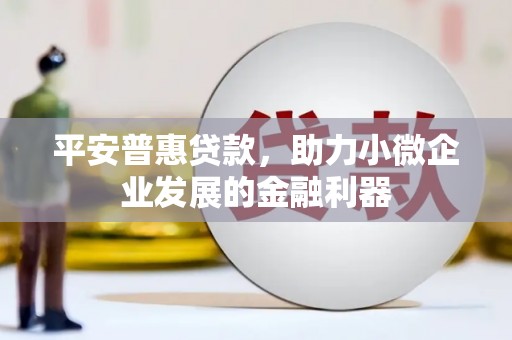 盖州平安普惠贷款，助力小微企业发展的金融利器