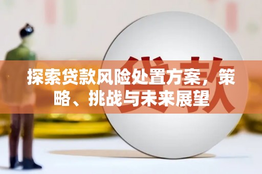 盖州探索贷款风险处置方案，策略、挑战与未来展望