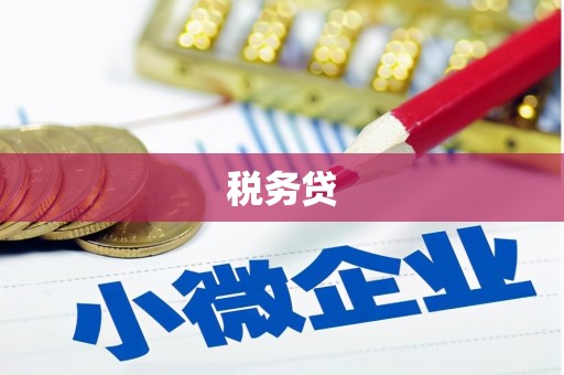 盖州税务贷