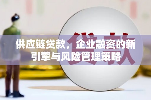 盖州供应链贷款，企业融资的新引擎与风险管理策略