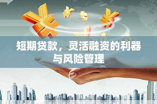 盖州短期贷款，灵活融资的利器与风险管理