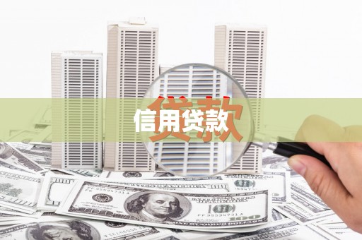 盖州信用贷款