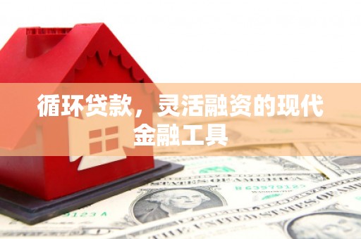 盖州循环贷款，灵活融资的现代金融工具