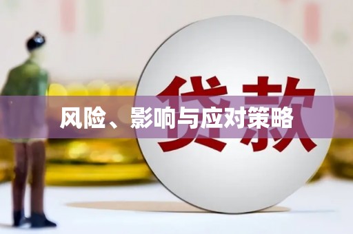 盖州风险、影响与应对策略