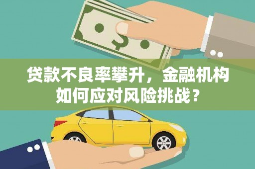 盖州贷款不良率攀升，金融机构如何应对风险挑战？