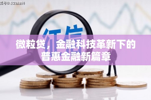 盖州微粒贷，金融科技革新下的普惠金融新篇章