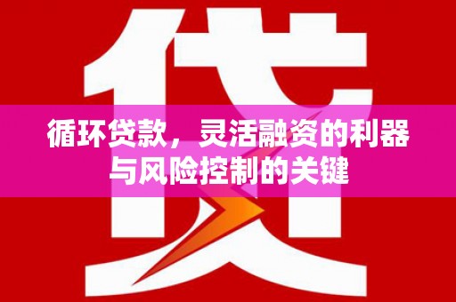 盖州循环贷款，灵活融资的利器与风险控制的关键
