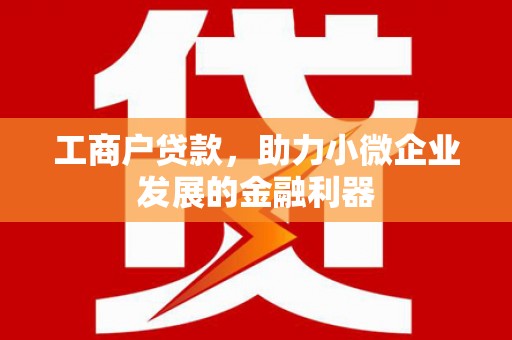 盖州工商户贷款，助力小微企业发展的金融利器