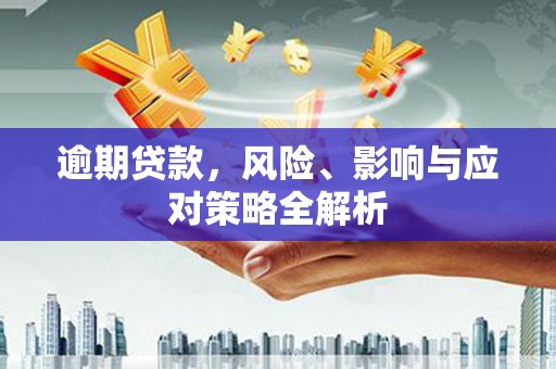 盖州逾期贷款，风险、影响与应对策略全解析