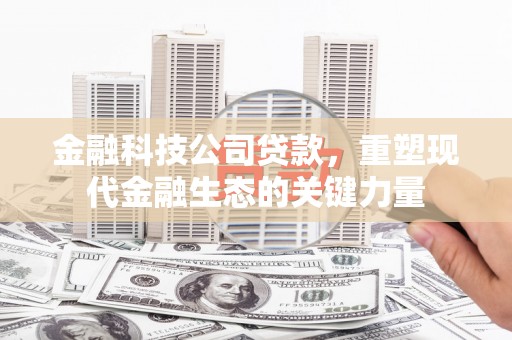 盖州金融科技公司贷款，重塑现代金融生态的关键力量