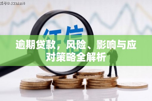 盖州逾期贷款，风险、影响与应对策略全解析