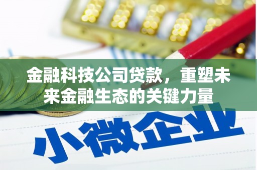 盖州金融科技公司贷款，重塑未来金融生态的关键力量