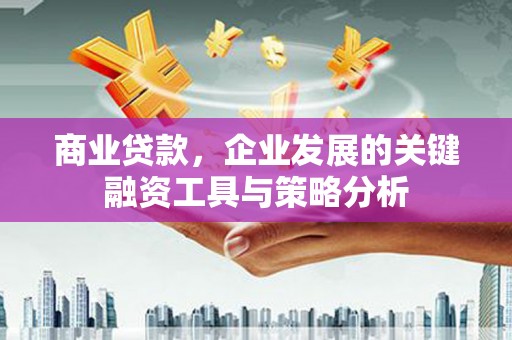 盖州商业贷款，企业发展的关键融资工具与策略分析