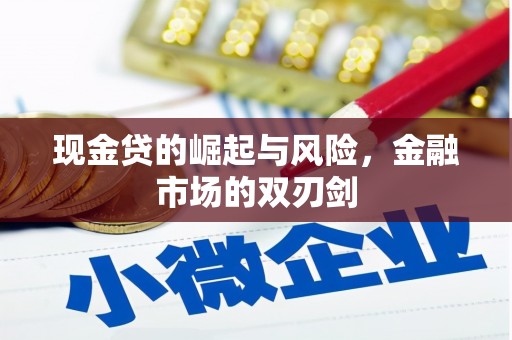 盖州现金贷的崛起与风险，金融市场的双刃剑