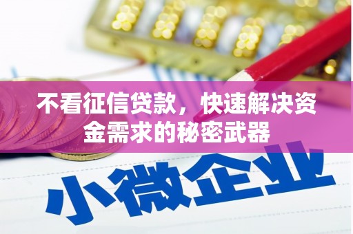 盖州不看征信贷款，快速解决资金需求的秘密武器