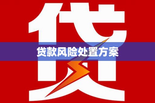 盖州贷款风险处置方案