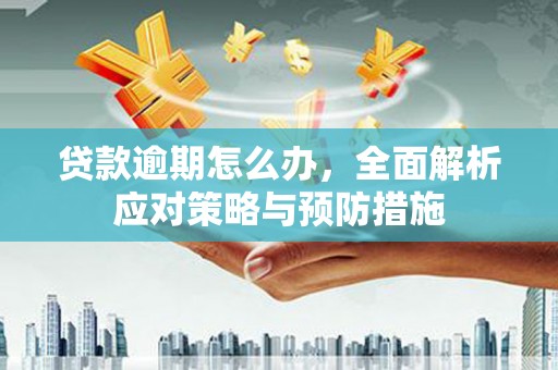 盖州贷款逾期怎么办，全面解析应对策略与预防措施