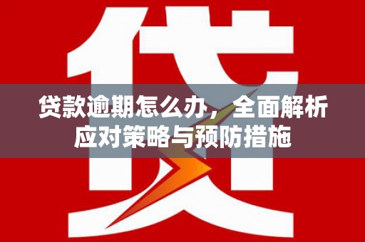 盖州贷款逾期怎么办，全面解析应对策略与预防措施