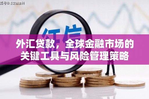 盖州外汇贷款，全球金融市场的关键工具与风险管理策略