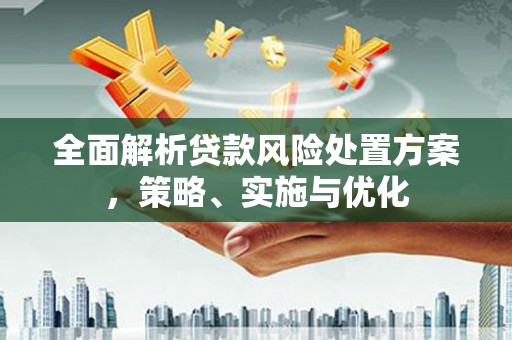 盖州全面解析贷款风险处置方案，策略、实施与优化