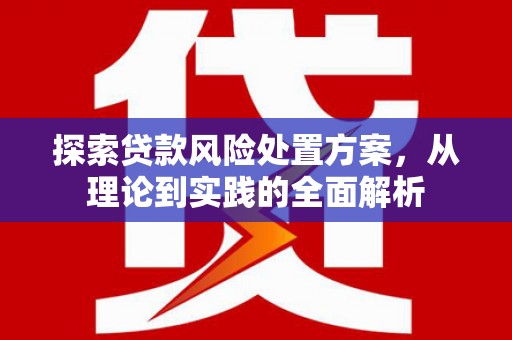 盖州探索贷款风险处置方案，从理论到实践的全面解析