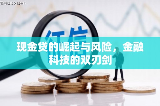 盖州现金贷的崛起与风险，金融科技的双刃剑