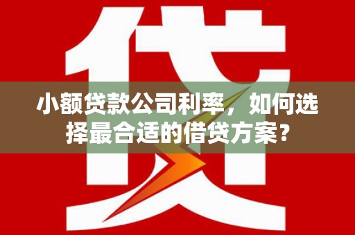 盖州小额贷款公司利率，如何选择最合适的借贷方案？