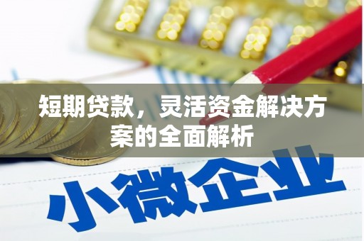 盖州短期贷款，灵活资金解决方案的全面解析