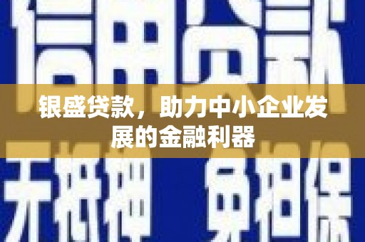 盖州银盛贷款，助力中小企业发展的金融利器