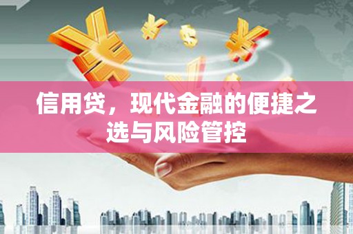 盖州信用贷，现代金融的便捷之选与风险管控