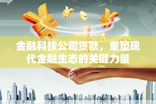 盖州金融科技公司贷款，重塑现代金融生态的关键力量