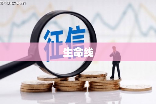 盖州生命线