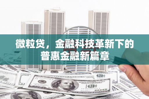 盖州微粒贷，金融科技革新下的普惠金融新篇章