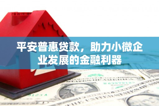 盖州平安普惠贷款，助力小微企业发展的金融利器