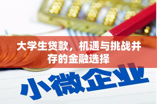 盖州大学生贷款，机遇与挑战并存的金融选择