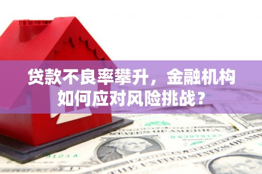 盖州贷款不良率攀升，金融机构如何应对风险挑战？