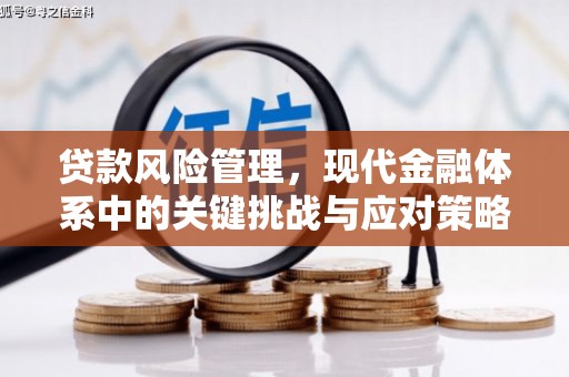 盖州贷款风险管理，现代金融体系中的关键挑战与应对策略