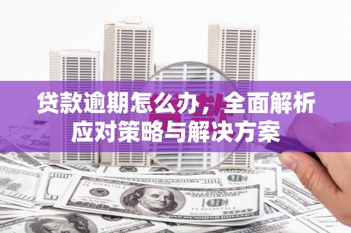 盖州贷款逾期怎么办，全面解析应对策略与解决方案