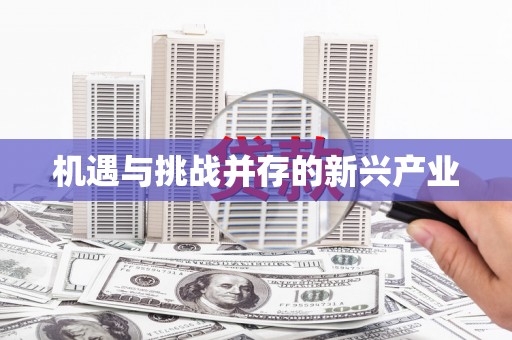 盖州机遇与挑战并存的新兴产业