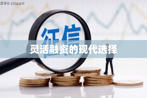 盖州灵活融资的现代选择