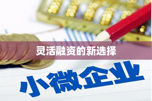 盖州灵活融资的新选择