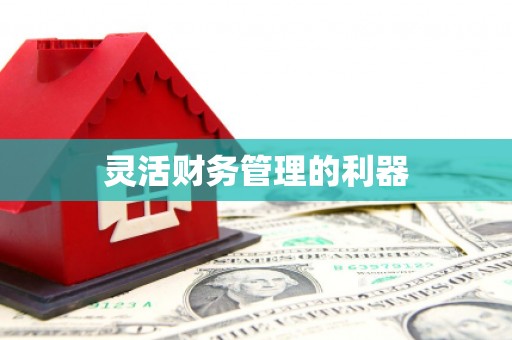 盖州灵活财务管理的利器