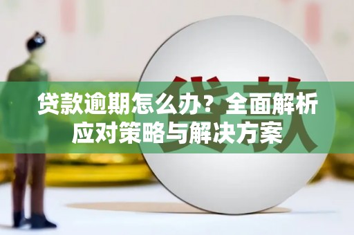盖州贷款逾期怎么办？全面解析应对策略与解决方案