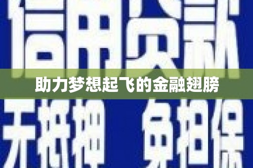 盖州助力梦想起飞的金融翅膀