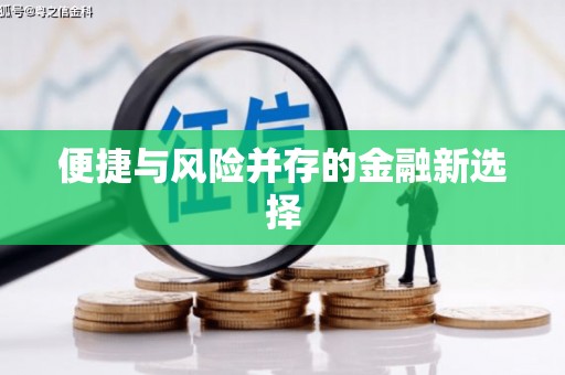 盖州便捷与风险并存的金融新选择