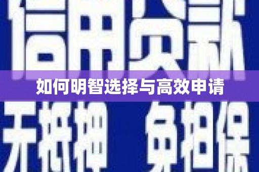 盖州如何明智选择与高效申请