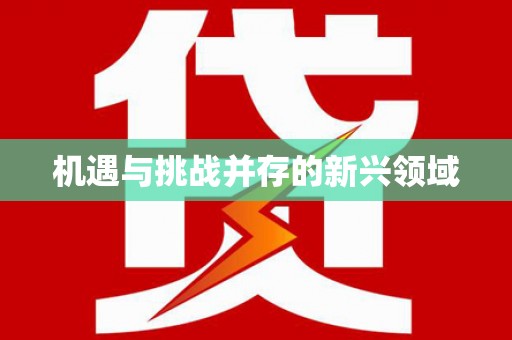 盖州机遇与挑战并存的新兴领域