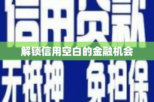 盖州解锁信用空白的金融机会