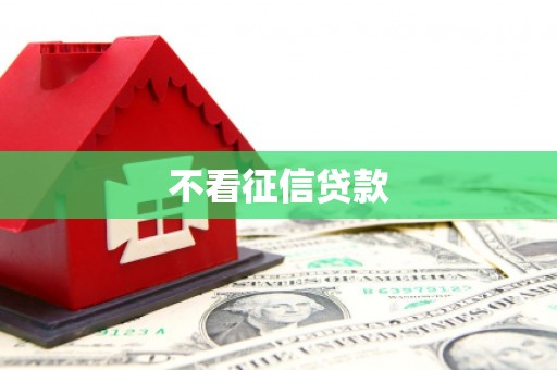 盖州不看征信贷款