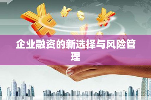 盖州企业融资的新选择与风险管理